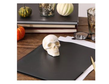 Cast Iron Human Skull Paperweight - Unique Desk Decor and Office Gift Cast Iron Human Skull Paperweight - Unique Desk Decor and Office Gift